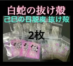 白蛇の抜け殻☆巳年生まれが育てるヘビのお守り☆運気上昇【己巳の日脱皮抜け殻】