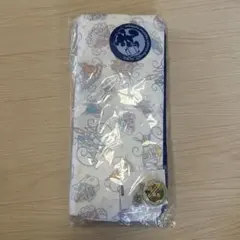 新品　ディズニーバケーションパッケージ　シート付バッグ