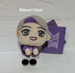 TinyTAN ぬいぐるみマスコット