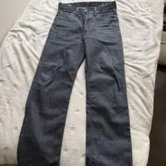 2008年蛇革visvimストレートパンツサイズ32