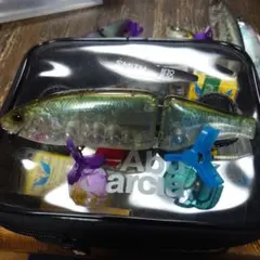 Item thumbnail for item f0a9c6d6-e060-46aa-bfc4-f92d5f2e1ca3