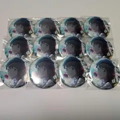 プロセカ 花里 みのり グリッター缶バッジ 20B 12点 セット