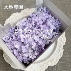 済　ayaaa❁様　ご専用