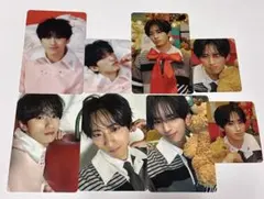 フェンファン タレントカード