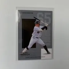 千葉ロッテマリーンズ スポーツカード