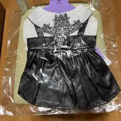 アナスイ　新品未使用　2Lサイズ