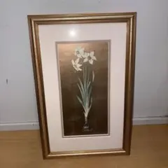 GYP1111 水仙　Gloria Eriksen Narcissus 額入り