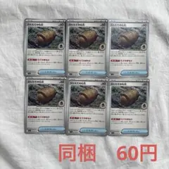 古びたたての化石　６枚　072/081のサムネイル