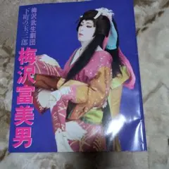 梅沢富美男・前川清　直筆サイン色紙●劇場公演チラシ付き 梅沢富美男・前川清 直筆サイン色紙○劇場公演チラシ付き 2025年