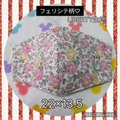 117.フェリシテ柄♡LIBERTY生地