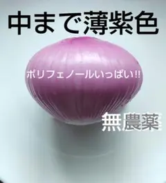 c「中まで色が付いた」赤玉ねぎ＜無農薬・有機肥料・抗酸化作用＞正味１.２kg以上のサムネイル