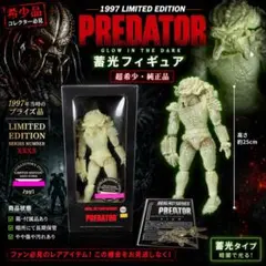 ⭐️希少97年PREDATOR 蓄光フィギュアLimited Edition 箱付のサムネイル