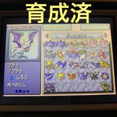中身充実　ポケモン　エメラルド