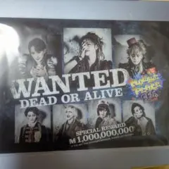 新品 マウピフェス クリアファイル