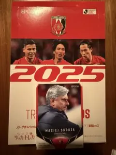 2025 Jリーグ 浦和レッズ チームエディション 全39枚コンプリート