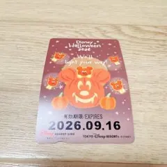 ディズニー　リゾート　ハロウィン　リゾートライン　フリー切符　リゾラ　かぼちゃ