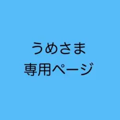 うめさま専用　オーダー2点