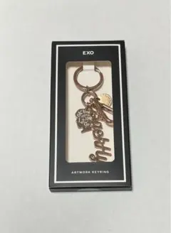 EXO チャニョルARTWORK KEYRING キーホルダー - メルカリ