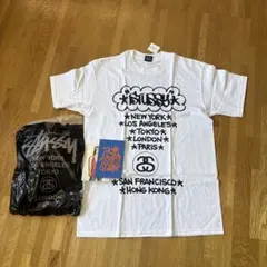 Stussy オールドステューシー サムライチャンプルー フウ Tシャツ 