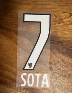 京都サンガ 24-25 川崎 マーキング