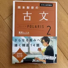 岡本梨奈の古文 POLARIS 2