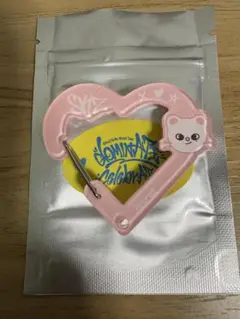 SKZOO SECRET ACRYLIC CARABINER ジニレット