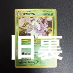 メガニウム　No154