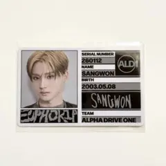 ALD1 サンウォン スタッフパス IDカード FREAK ALARM 封入