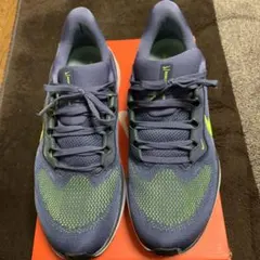 ナイキ　ペガサス４１　27.5