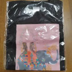 ブライアン・ワイルドスミス Tシャツ