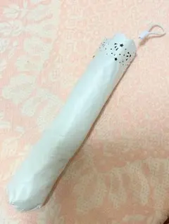 Item thumbnail for item 283d88cc-75ce-405a-b8d3-a3e6e1f7788e