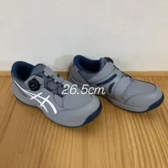 Item thumbnail for item 17d76f97-b0c9-480e-a5e8-3385e50f8c83