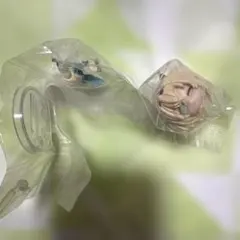 hololive デフォルメコレクション vol.3 風真いろは