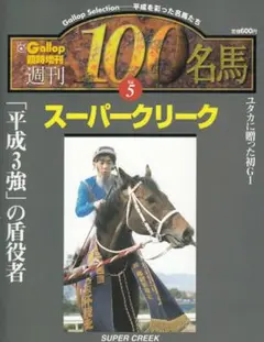 2025年最新】名馬 GALLOP 100の人気アイテム - メルカリ