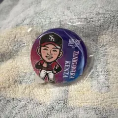 2026年最新】谷川原健太の人気アイテム - メルカリ