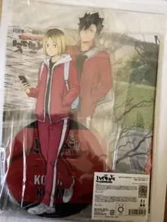 ハイキュー！ ゴミ捨て場の決戦黒尾鉄朗 孤爪研磨布ポスタービッグアクリルスタンド
