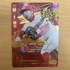 猛*り様 ドリームオーダー 日本選手権 プロモ 広島 菊池涼介 ミートバッテング ドリームオーダー 日本選手権 プロモ SP ミートバッティング