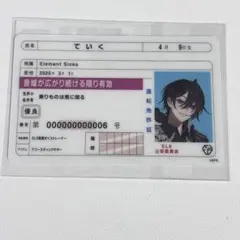 Element sicks EL6 1周年記念 免許証風カード ていく