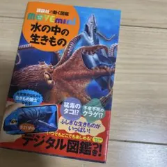 Item thumbnail for item d3ed2d8d-197c-4824-aa41-85206274c6a9