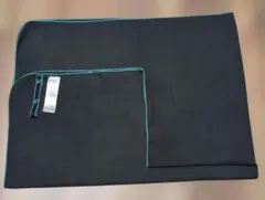 Item thumbnail for item 78e46de8-ec1e-4dd3-8a79-51baadfc4bdd