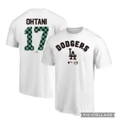 Item thumbnail for item 7b511723-d8b9-42a2-b2c2-aa4969692dd8