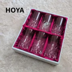 ✨廃盤✨HOYA クリスタルグラス タンブラー 240ml 6個 NTS246C