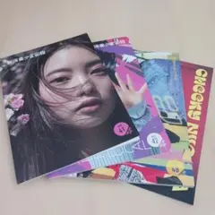 限定出品 新潟美少女図鑑　5冊セット