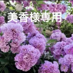 美香様 リクエスト 2点 まとめ商品