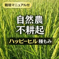 2026年最新】ハッピーヒル 種籾の人気アイテム - メルカリ