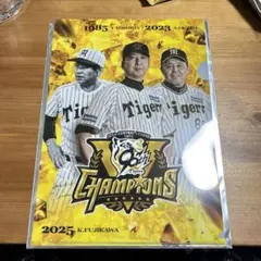 くりまんじゅう先輩様 リクエスト 2点 まとめ商品