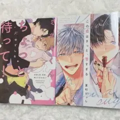BL漫画2冊セット（この恋はきっと、甘すぎる•ミツキくんちょっと待って！）