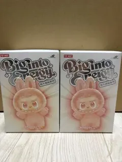 energy ラブブ　新品未開封2箱セット