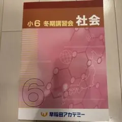2026年最新】正月特訓 早稲田アカデミーの人気アイテム - メルカリ