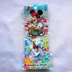 東京ディズニーリゾート 　ディズニーオンツアー 北海道 ミッキー ディズニー | 森のクマ（ディズニー大好き一家）